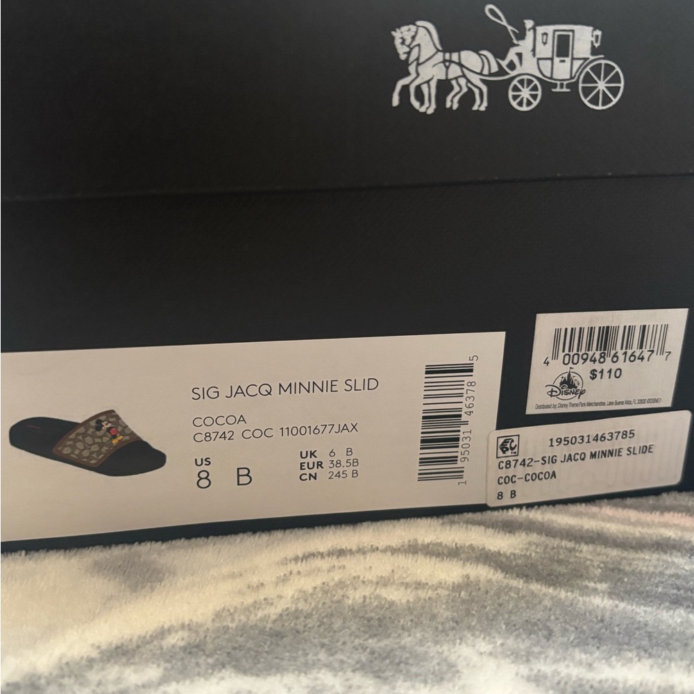 Coach Mickey Mouse Slides